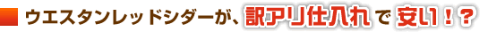 �E�G�X�^�����b�h�V�_�[���A��A���d����ň���!?