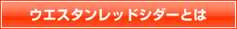 ���b�h�V�_�[�Ƃ�