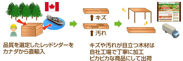 品質を選定したレッドシダーをカナダから直輸入　キズや汚れが目立つ木材は自社工場で丁寧に加工ピカピカな商品にして出荷